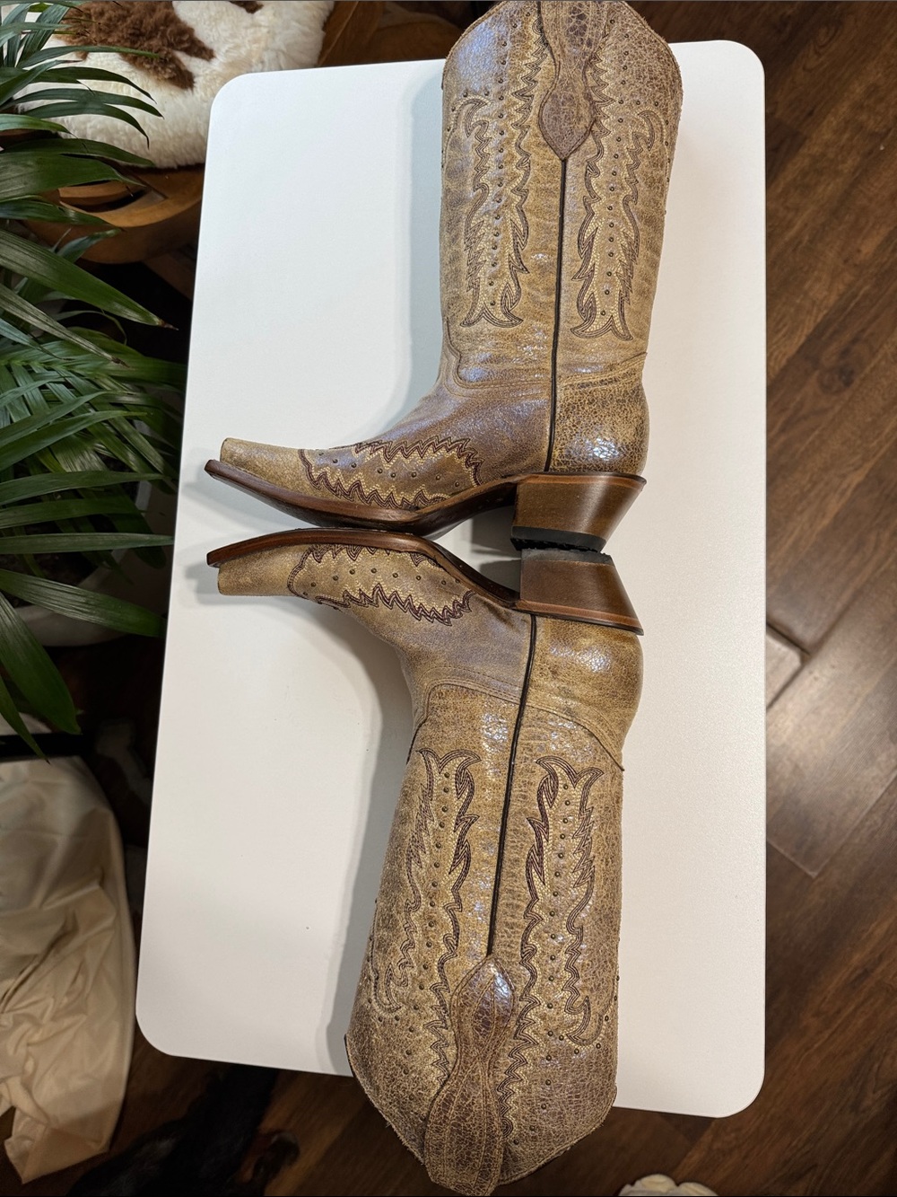 Circle G Distressed Tan Western Embroidered Cowboy Boots Made in Mexico - Picture 3 of 14